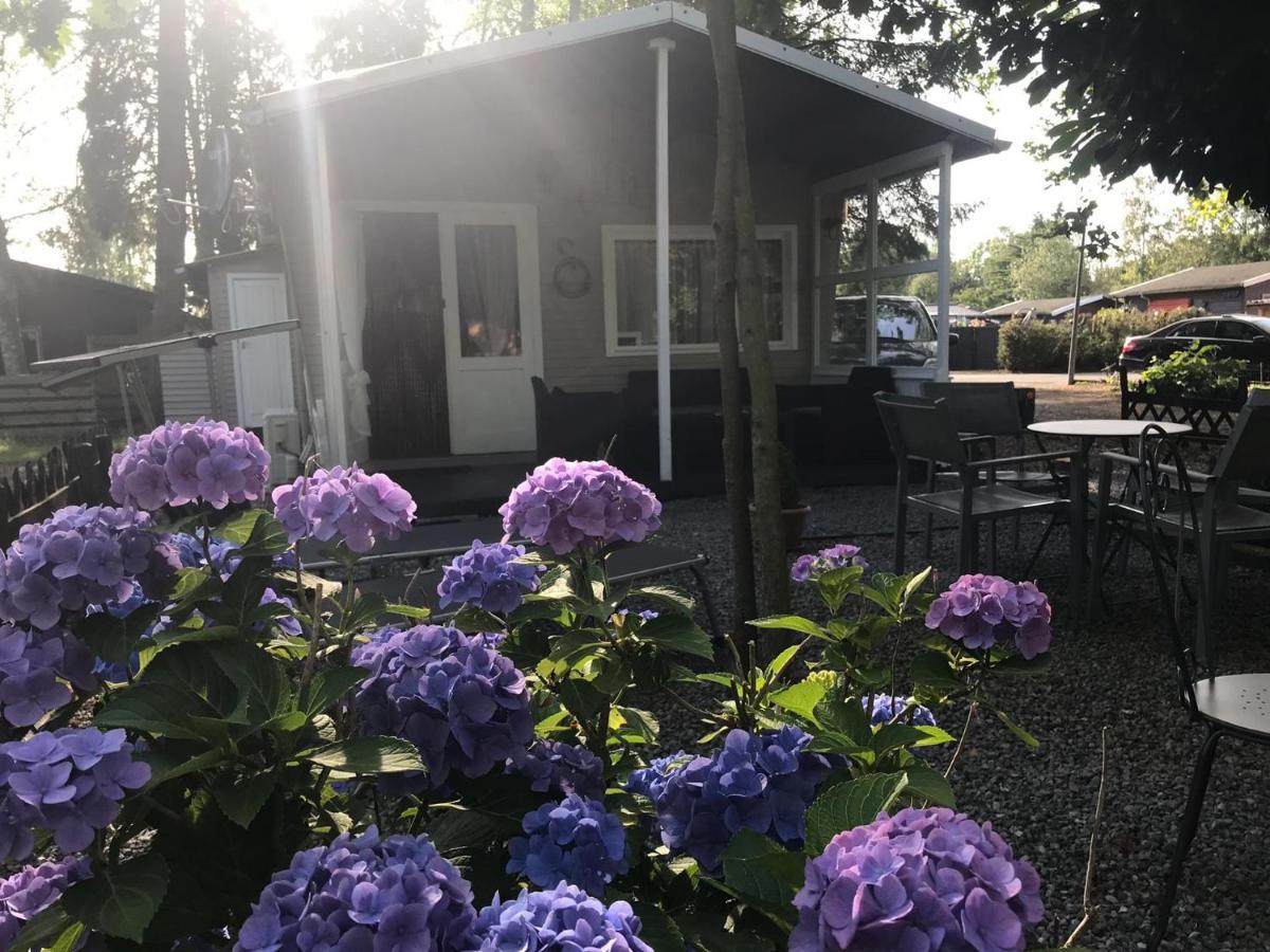 Vakantiehuisje De Waterhoek Geel Extérieur photo